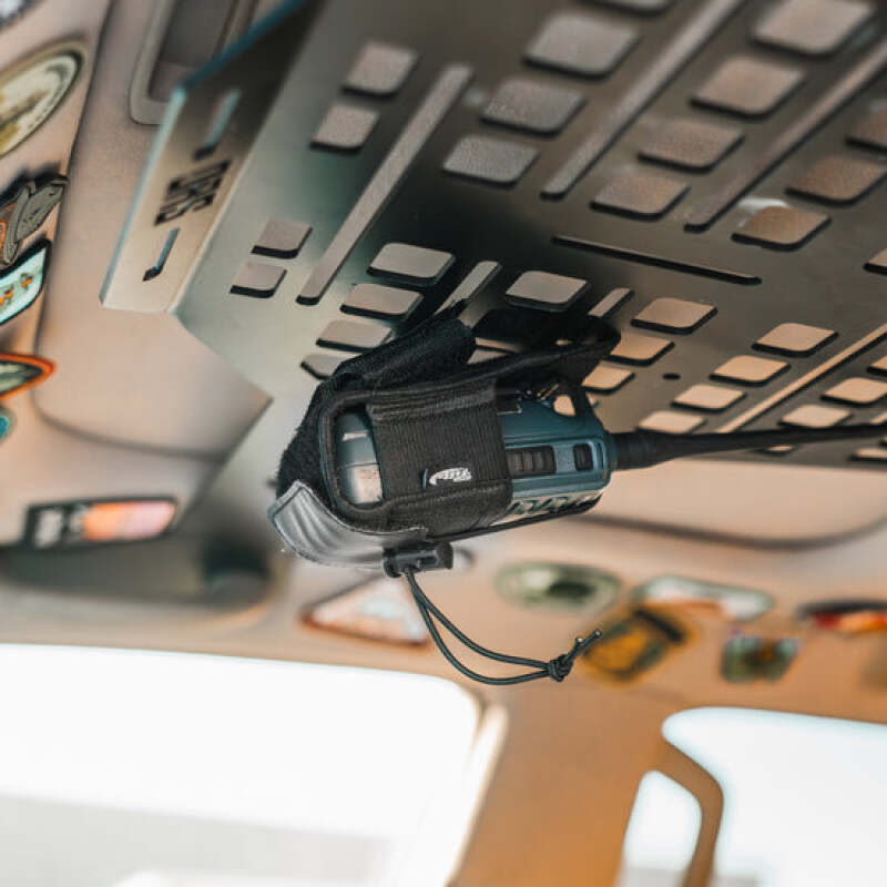 Photo - Primary