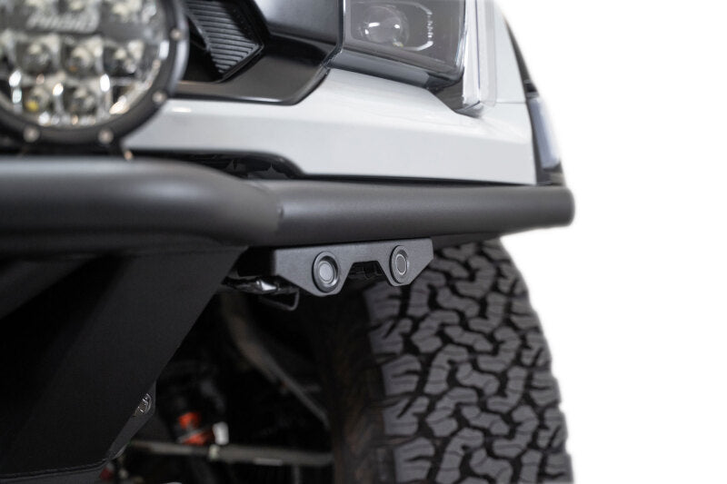 Photo - Close Up